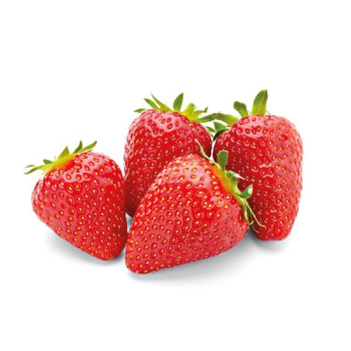 FRESAS